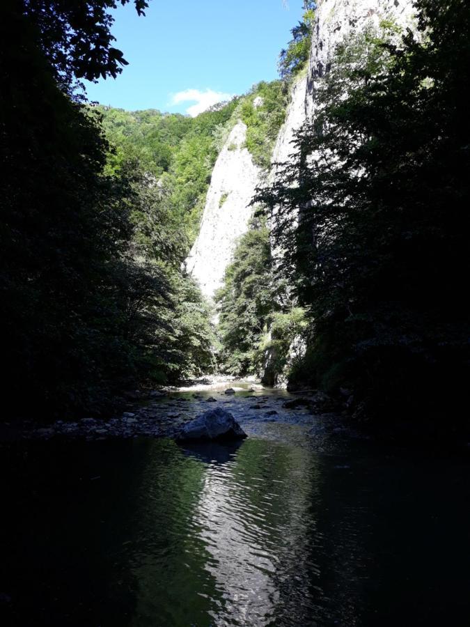 Hotel Timi Kulcsosház Lăzarea Exteriér fotografie