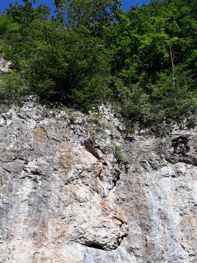 Hotel Timi Kulcsosház Lăzarea Exteriér fotografie